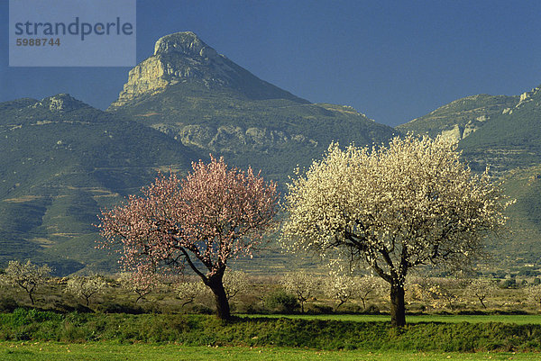 Landschaft in der Nähe von Balaguer  Lerida  Spanien  Europa