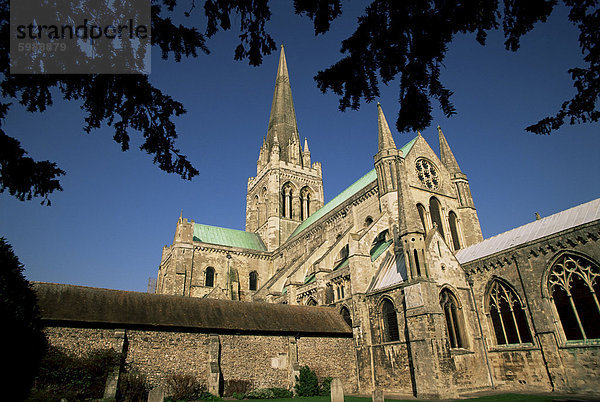 Kathedrale von Chichester  West Sussex  Sussex  England  Vereinigtes Königreich  Europa