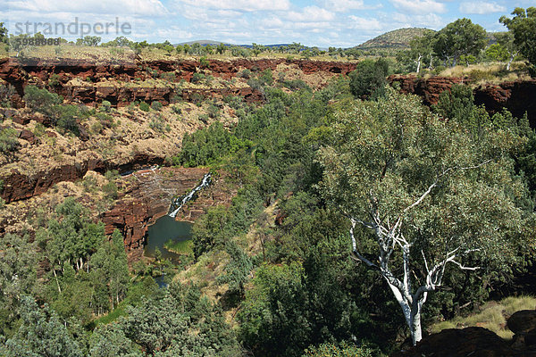 Fortescue fällt  Karijini-Nationalpark  Pilbara  Westaustralien  Australien  Pazifik