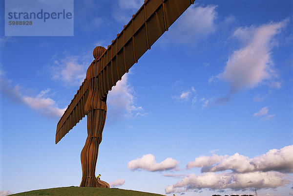 Engel des Nordens  Skulptur von Anthony Gormley  Newcastle upon Tyne  Tyne und Wear  England  Vereinigtes Königreich  Europa