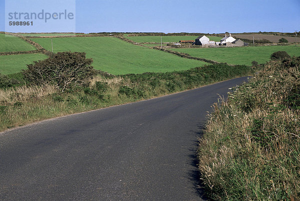 Penwith Bauernhof Landschaft und Straße in der Nähe von Lanyon Quoit  Cornwall  England  Vereinigtes Königreich  Europa