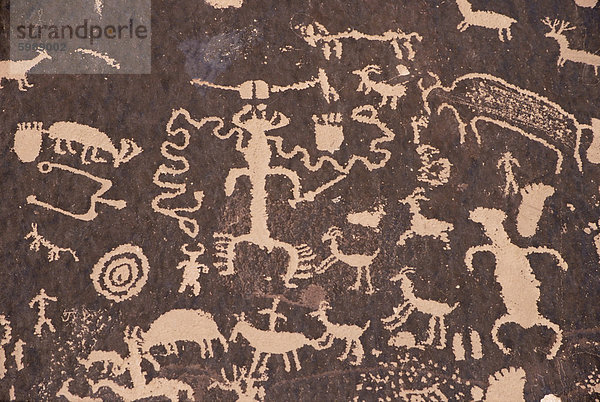 Indische Petroglyphen auf rote Standstone gezeichnet  durch kratzen entfernt dunkle Wüste Lack von Eisenoxiden  Zeitung Rock  Canyonlands  Utah  Vereinigte Staaten von Amerika  Nordamerika