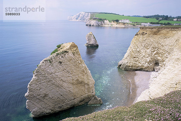 Süßwasser Bay  Isle Of Wight  England  Vereinigtes Königreich  Europa