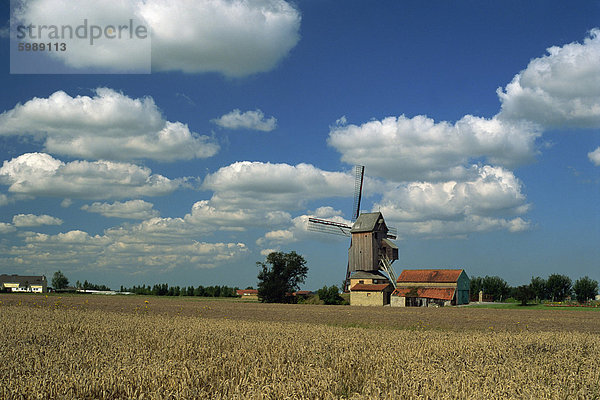 Website der älteste Windmühle in Europa  Hondschoote  Flandern  Nord  Frankreich  Europa