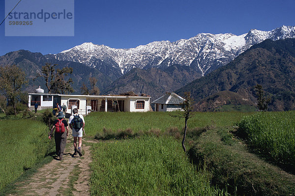 Wanderer  Dhaula Dhar Range  westlichen Himalaya  Indien  Asien