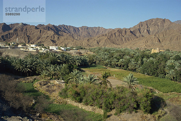 Blick über die Oase Stadt von Bithnal  arabischen Berge  Vereinigte Arabische Emirate  Naher Osten