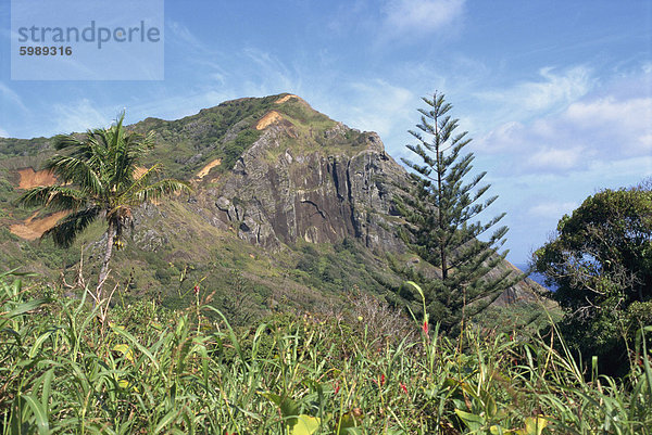 Landschaft der felsigen Hügeln und Vegetation auf Pitcairn Insel  Pazifik