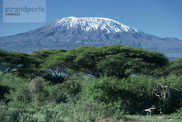 Mount Kilimanjaro  Tansania  Ostafrika  Afrika