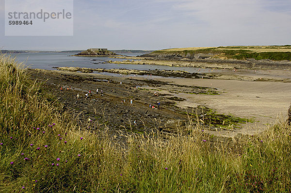 Der Strand von West-Winkel  Pembrokeshire  Wales  Vereinigtes Königreich  Europa