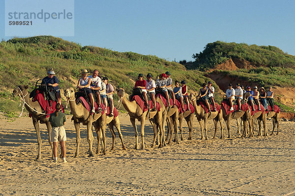 Kamel reitet  Cable Beach  Broome  Kimberley  Western Australia  Australien  Pazifik