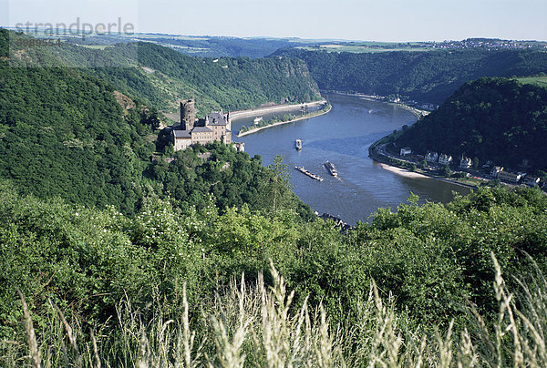 Fluss Rhein  Rheinland-Pfalz  Deutschland  Europa