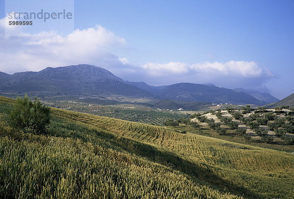 Sierra de Tejeda  Andalusien  Spanien  Europa