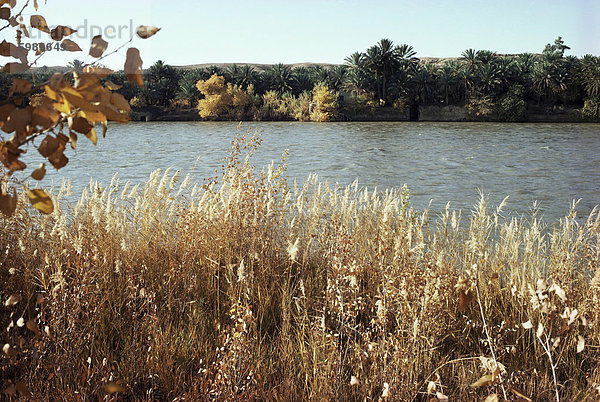Herbst  Ana  über den Fluss Euphrat  Irak und Nahen Osten