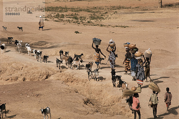 Frauen auf ihrem Weg zum Waschplatz am Fluss Niger  Mali  Afrika