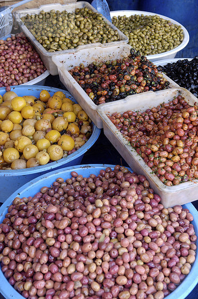 Oliven  Medina  Essaouira  Marokko  Nordafrika  Afrika