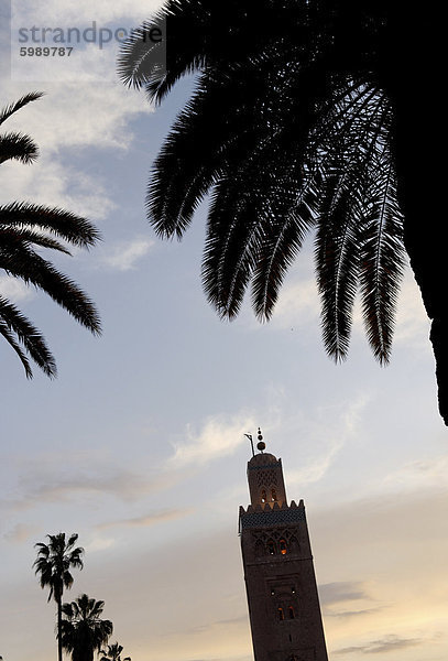 Das Koutoubia-Minarett erhebt sich aus dem Herzen der alten Medina neben einer Moschee des gleichnamigen  Marrakesch  Marokko  Nordafrika  Afrika