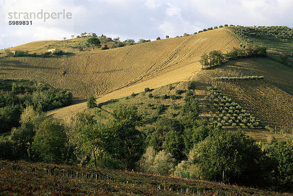 Landschaft in der Nähe von Chieti  Abruzzen  Italien  Europa