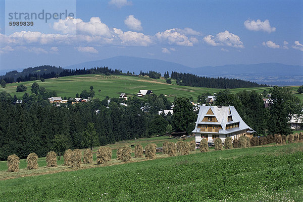 Landschaft in der Nähe von Zakopane  Tatra-Gebirge  Polen  Europa