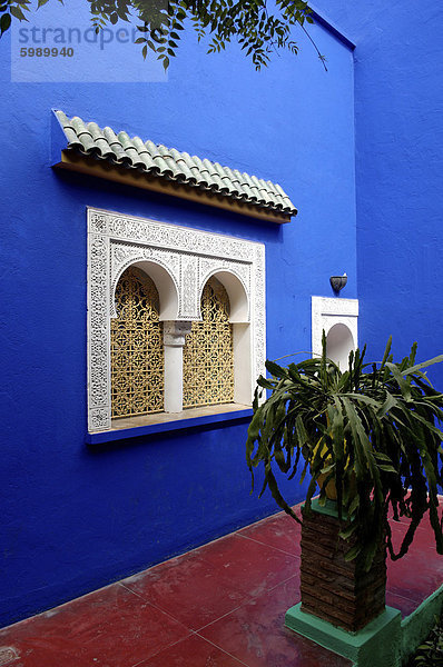 Majorelle Garten  erstellt von der französischen Tischlers Louis Majorelle und wiederhergestellt  indem die Modeschöpfer Yves Saint Laurent  Marrakesch  Marokko  Nordafrika  Afrika