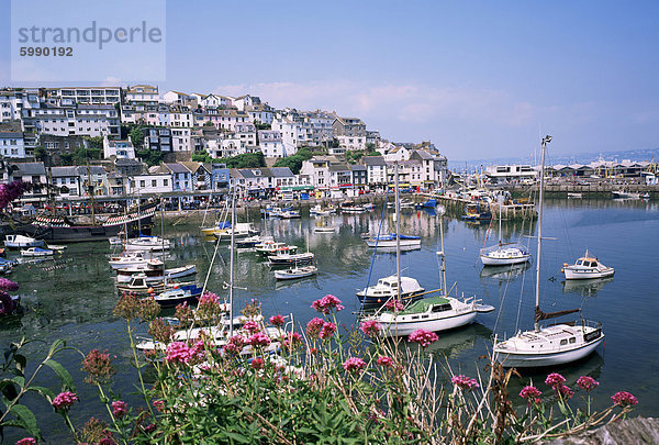 Brixham Hafen  Devon  England  Vereinigtes Königreich  Europa