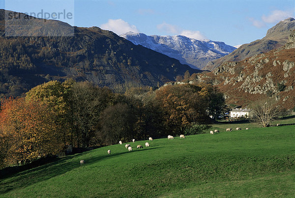 Kapelle Stile  großes Langdale  Lake District-Nationalpark  Cumbria  England  Vereinigtes Königreich  Europa