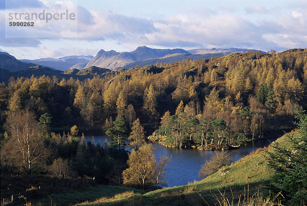 Tarn Hows  Lake District-Nationalpark  Cumbria  England  Vereinigtes Königreich  Europa