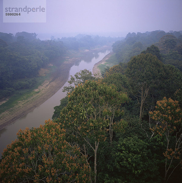 Morgen Nebel in Rio Negro Region Amazonas Regenwald  Bundesstaat Amazonas  Brasilien  Südamerika