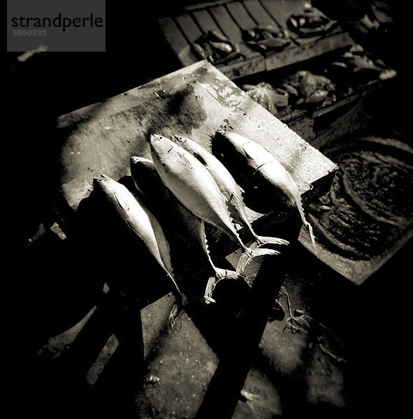 Bild aufgenommen mit einer Holga-Medium format 120 Film Toy Kamera von frisch gefangenen Fisch auf der Tafel im Fischmarkt  Stonetown  Zanzibar  Tansania  Ostafrika  Afrika