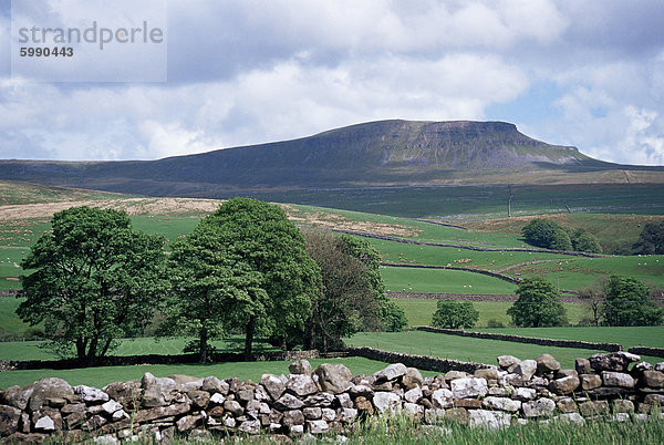 Ansicht von Pen-y-Gent  Ribblesdale  Yorkshire  England  Vereinigtes Königreich  Europa