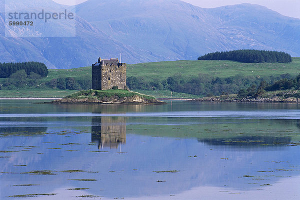 Castle Stalker  Port Appin  Strathclyde  Schottland  Vereinigtes Königreich  Europa