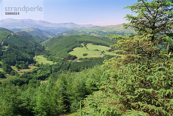 Studentin y Brennin Wald  nahe Dolgellau  Snowdonia-Nationalpark  Gwynedd  Wales  Vereinigtes Königreich  Europa