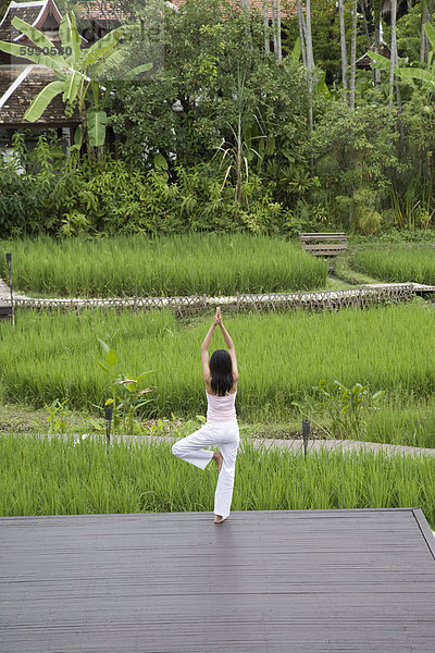 Thai Frau am Mandarin Oriental Resort  Chiang Mai  Thailand  Südostasien  Asien