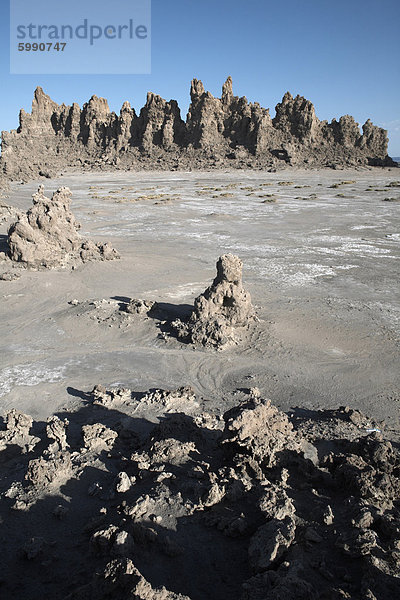 Die trostlose Landschaft von Lac Abbe  gesprenkelt mit Kalkstein Schornsteine  Dschibuti  Afrika