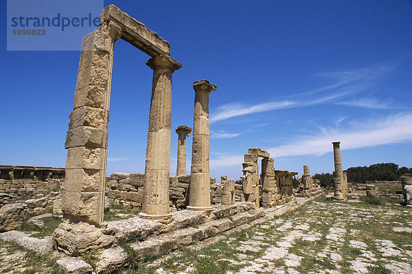 Römische Ruinen  Kyrene  UNESCO-Weltkulturerbe  Cyrenaica  Libyen  Nordafrika  Afrika