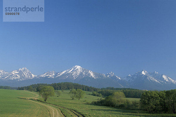 Hohe Tatra-Gebirge in der Nähe von Poprad  Slowakei  Europa