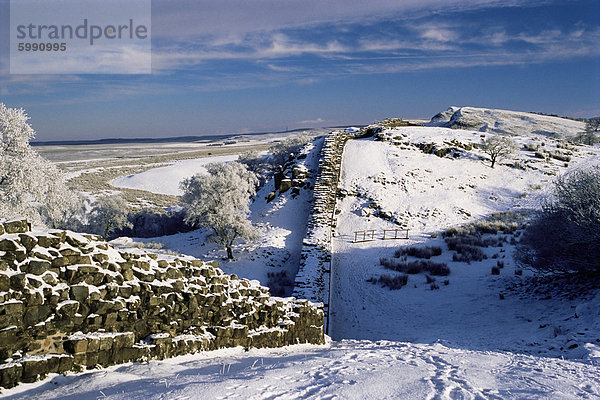 Römische Mauer  Wallcrags  East  Northumbria  England  Vereinigtes Königreich  Europa
