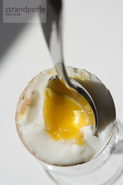 Gekochtes Ei auf weißem Teller
