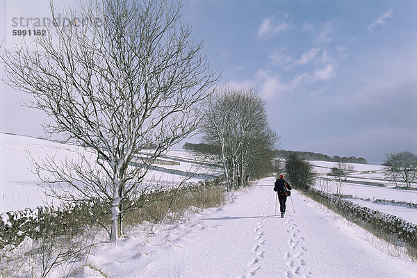 Spuren im Schnee  Hartington  Tissington Trail  Derbyshire  England  Vereinigtes Königreich  Europa