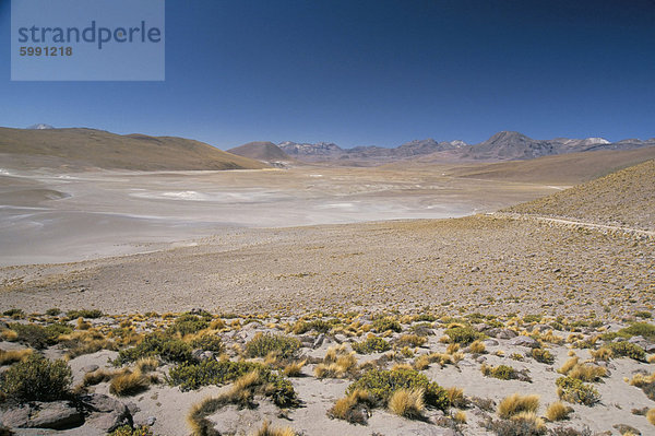 Altiplano und hochrangigen Vulkane  El Tatio Becken  über Calama  Atacamawüste  Chile  Südamerika