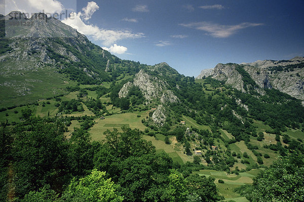 Naranjo de Bulnes  Picos de Europa  in der Nähe von Arenas de Cabrales  Kantabrien  Spanien  Europa