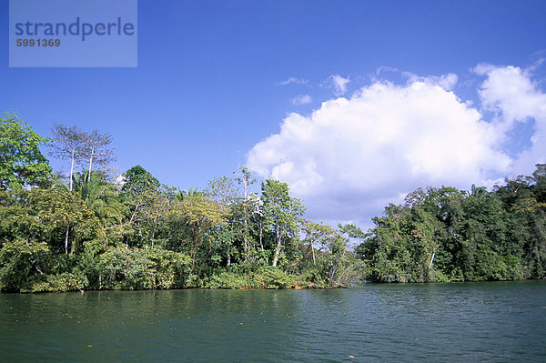 Insel am Gatun Lake  Soberania-Forest-Nationalpark  Panamakanal  Panama  Mittelamerika