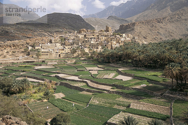 Traditionelle Jabali Dorf mit Palmery im Becken in Jabal Akhdar  Bilad Sayt  Oman  Naher Osten