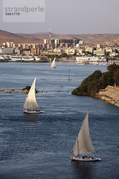 Feluccas Segeln am Fluss Nil bei Assuan  Ägypten  Nordafrika  Afrika