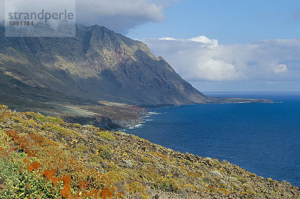 Blumen und Berge auf der südlichen Küste  El Hierro  Kanaren  Spanien  Atlantik  Europa