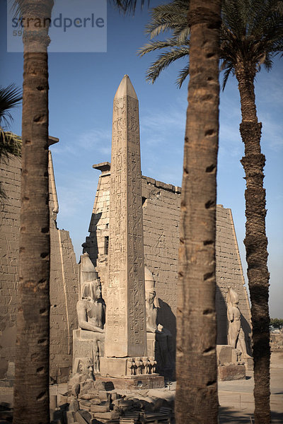 Luxor-Tempel  Luxor  Theben  UNESCO World Heritage Site  Ägypten  Nordafrika  Afrika