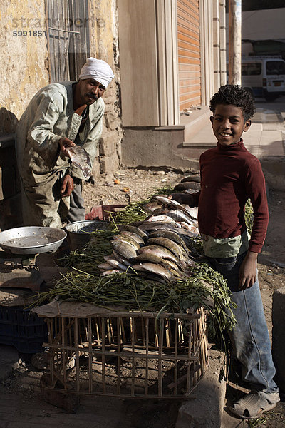 Verkauf von Fisch frisch vom Nil in Luxor  Ägypten  Nordafrika  Afrika