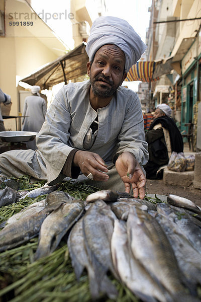 Verkauf von Fisch in Luxor Souq  Ägypten  Nordafrika  Afrika