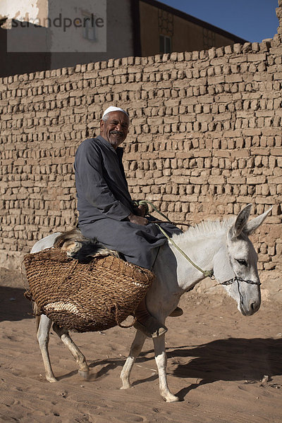 Ein Mann reitet sein Maultier durch die Straßen von Al-Qasr  Oase Dakhla  Ägypten  Nordafrika  Afrika