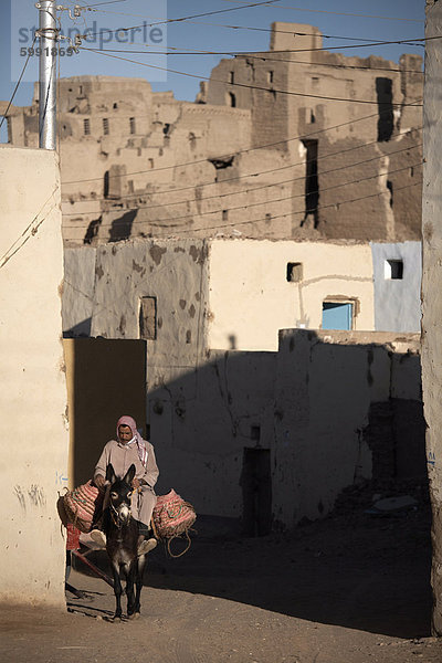 Ein Mann reitet sein Maultier durch die Straßen von Al-Qasr  Oase Dakhla  Ägypten  Nordafrika  Afrika