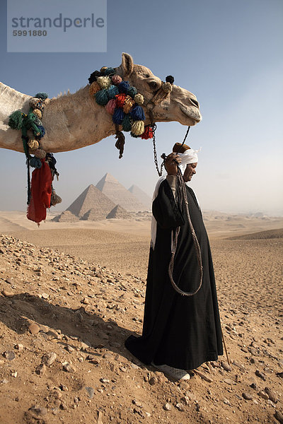 Ein Beduinen-Reiseführer mit seinem Kamel  mit Blick auf das Pyramiden von Gizeh  Kairo  Ägypten  Nordafrika  Afrika